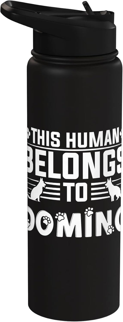 Botella de agua acero inoxidable aislada para perro Domino