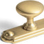 6 Pzas Pomos Bronce Champán Cajones Placa Trasera