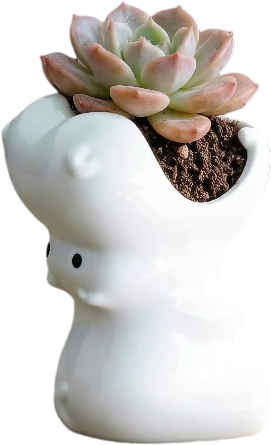 Macetas cerámica forma animal cactus suculentas