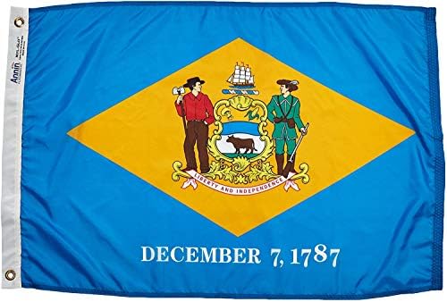 Bandera de Delaware 2x3ft para Exterior y Eventos