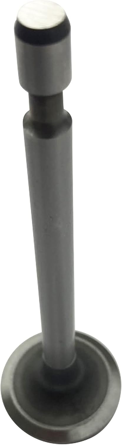 Válvula admisión comp B&S 8HP reemplazo