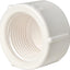10 Pzas Accesorios PVC 3/4pulg Rosca Hembra BSPT Blanco