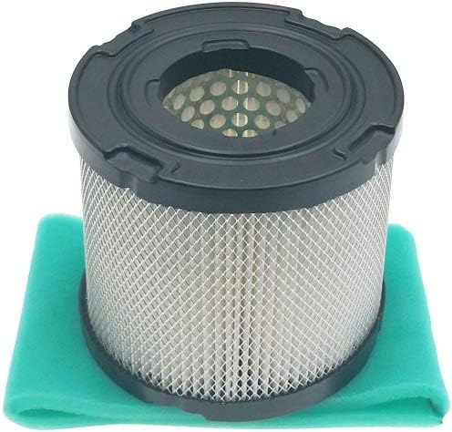 Filtro aire comp. B&S John Deere Ariens