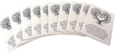 Semillas árbol vida crema 3.25x4.5pulg pack 20