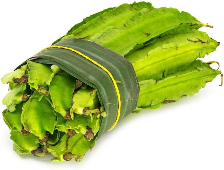 Semillas frijol con alas orgánicas 30 unidades para jardín tropical
