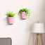 2 Pzas Macetas Pared Plástico 7.5pulg Rosa
