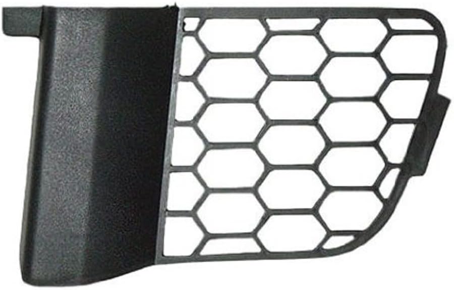Repuesto inserto parachoques conductor Ford F-150