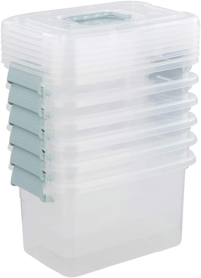 Contenedor plástico transparente con tapa y asa 6 pzas
