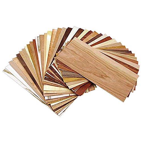 Kit de Identificación de Madera con Guía de Referencia