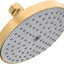Cabezal ducha Raindance 5" bronce cepillado