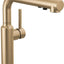 Grifo cocina oro cepillado rociador extraible bronce champán
