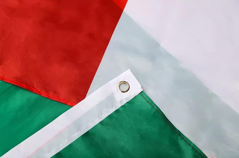 Bandera Irán histórica poliéster 3x5ft león