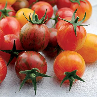 Semillas tomate cherry orgánicas sin OMG paquete 20