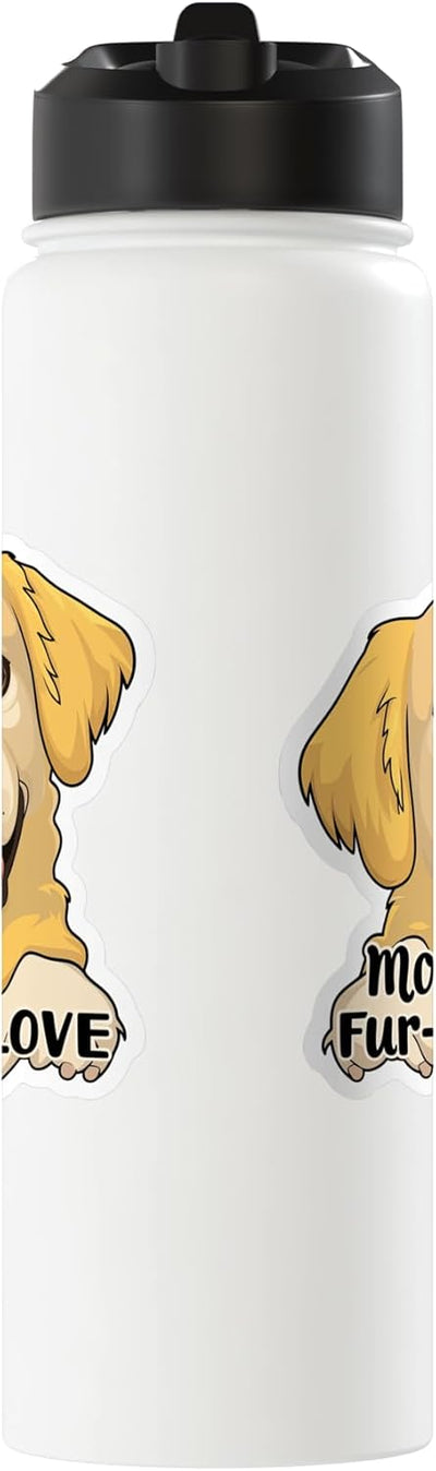 Bota de agua acero inoxidable para perros retriever