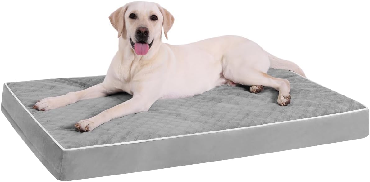 Cama ortopédica perros XL jaula con funda lavable impermeable