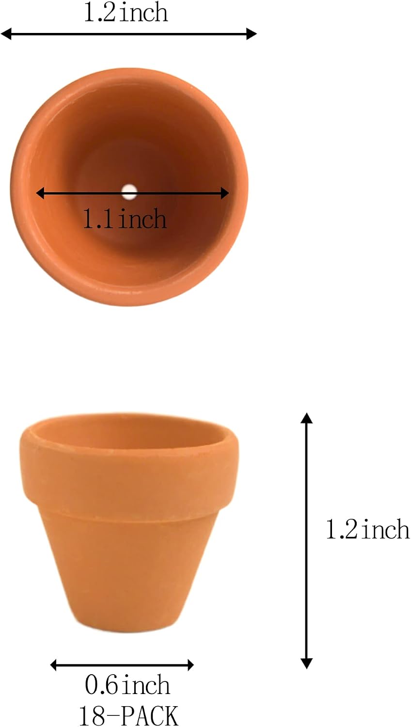 Macetas terracota 1.2pulg con drenaje para cactus y suculentas