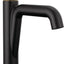 Grifo baño 1 agujero negro mate/dorado kit desagüe