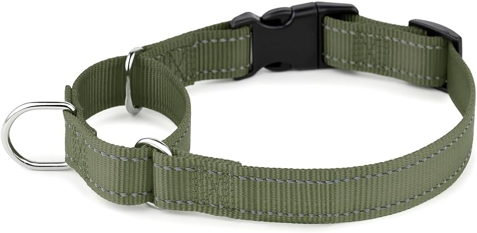 Collar Martingala reflectante para perro XS verde guardabosques