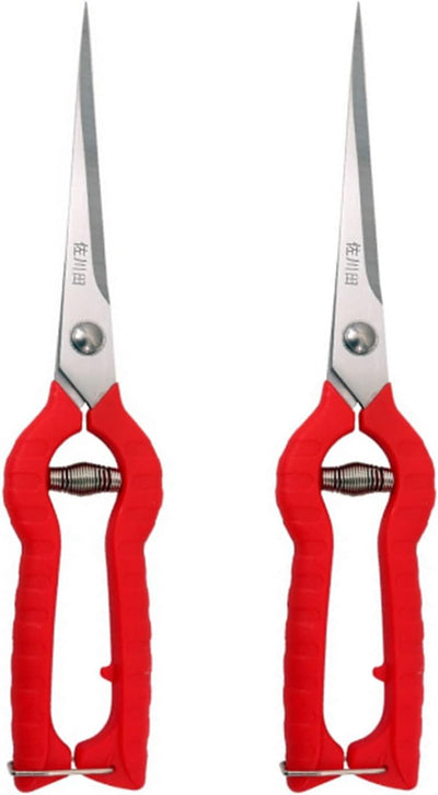 Tijeras podar acero inox borde largo para árboles frutales y bonsái