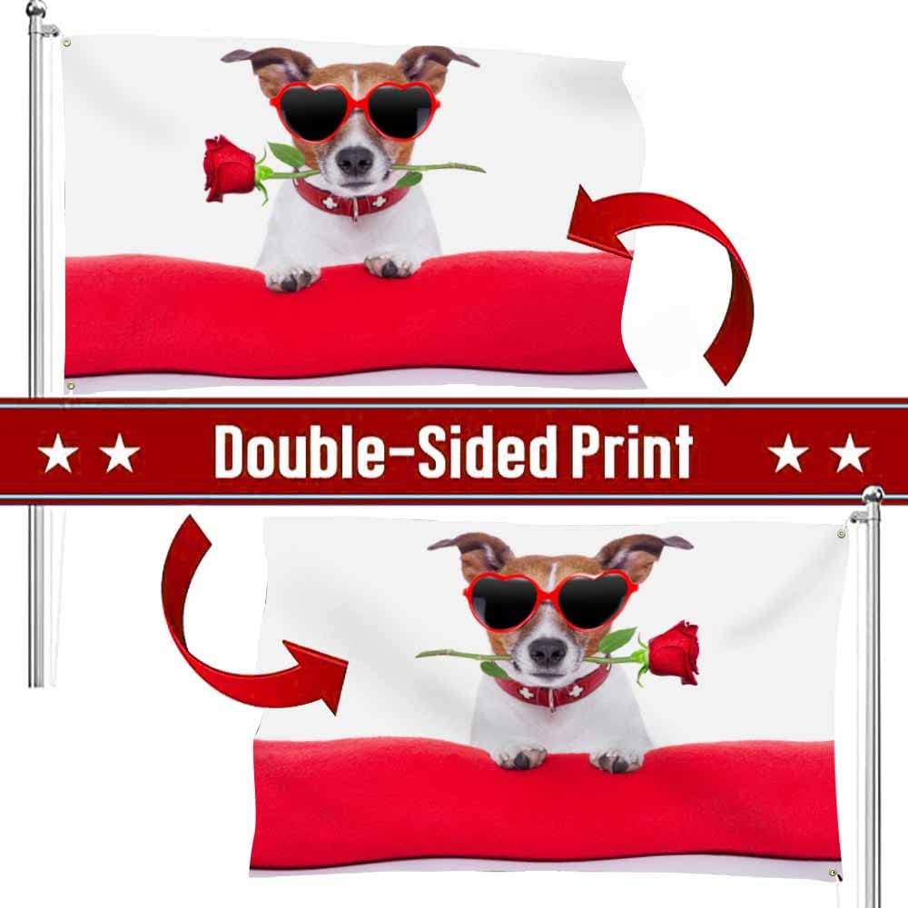Bandera perro 3x5ft gafas sol San Valentín doble cara