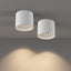 Lámpara techo LED regulable cilíndrica 14.5W 3000K pack 2