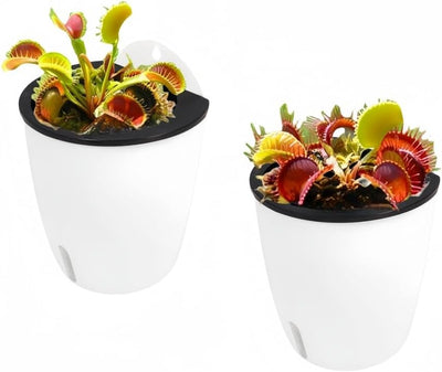 2 Macetas Riego Automático 7" Colgantes Plástico Blanco