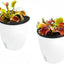2 Macetas Riego Automático 7" Colgantes Plástico Blanco