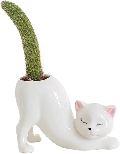 Maceta cerámica para gatos y suculentas decoración hogar blanco