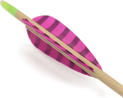 Tiro arco parabólico 4" fletching doble cara 50uds