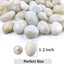 Piedras río blancas 2.5-5cm para jarrones acuarios