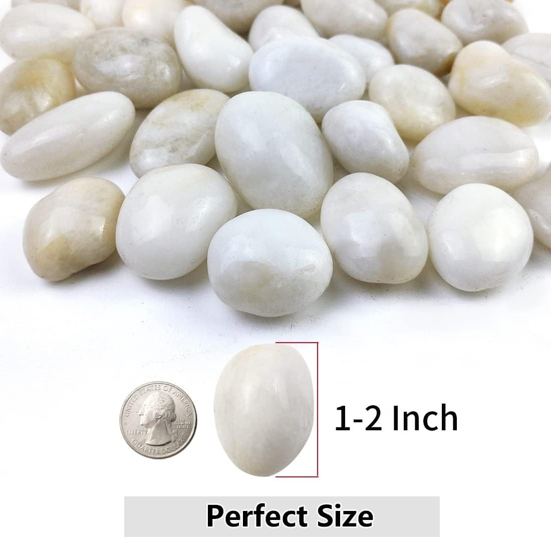 Piedras río blancas 2.5-5cm para jarrones acuarios