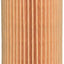 Filtro aceite E38H D106