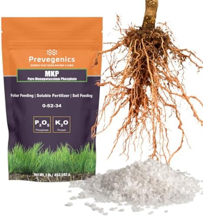 Fertilizante MKP 0-52-34 soluble en agua 1libra