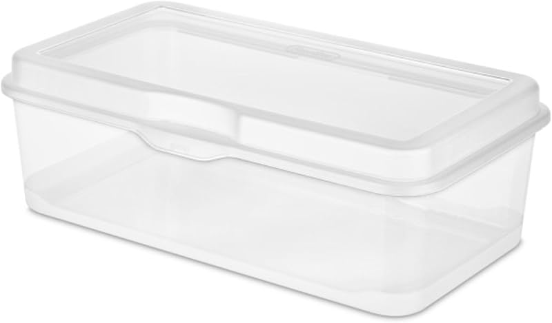 24 Pzas Cajas Plástico Transparente con Tapa Bisagra