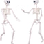 2 Esqueletos Decorativos Halloween 3ft Articulados