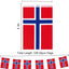 Banderas Noruega 30 pzas 33ft eventos patrióticos