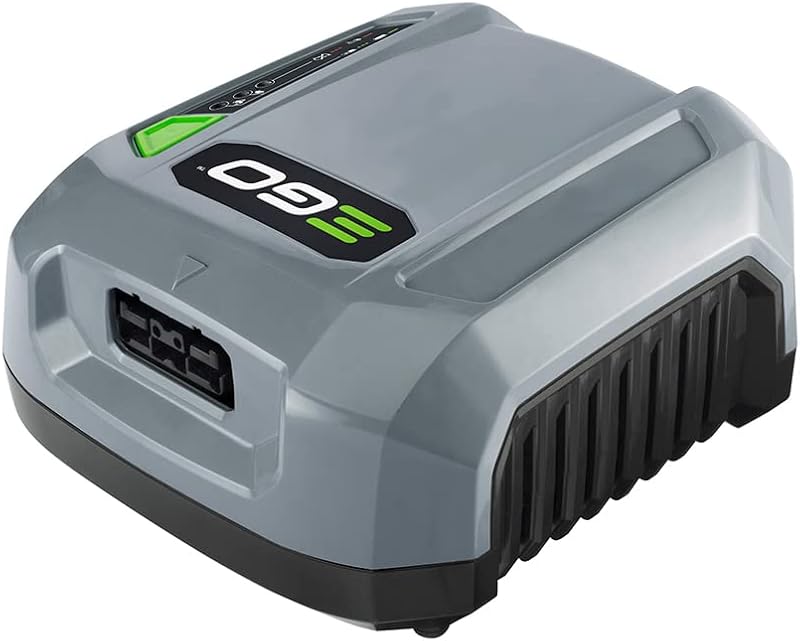 Cargador EGO serie CHX5500 550W
