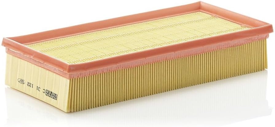 Filtro aire Mann-Filter C 31