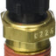 Sensor temperatura refrigerante TX195 talla única