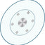 Plato giratorio 36pulg vidrio 6 ruedas comedor
