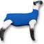 Tubo cordero Spandex azul para mostrar ovejas