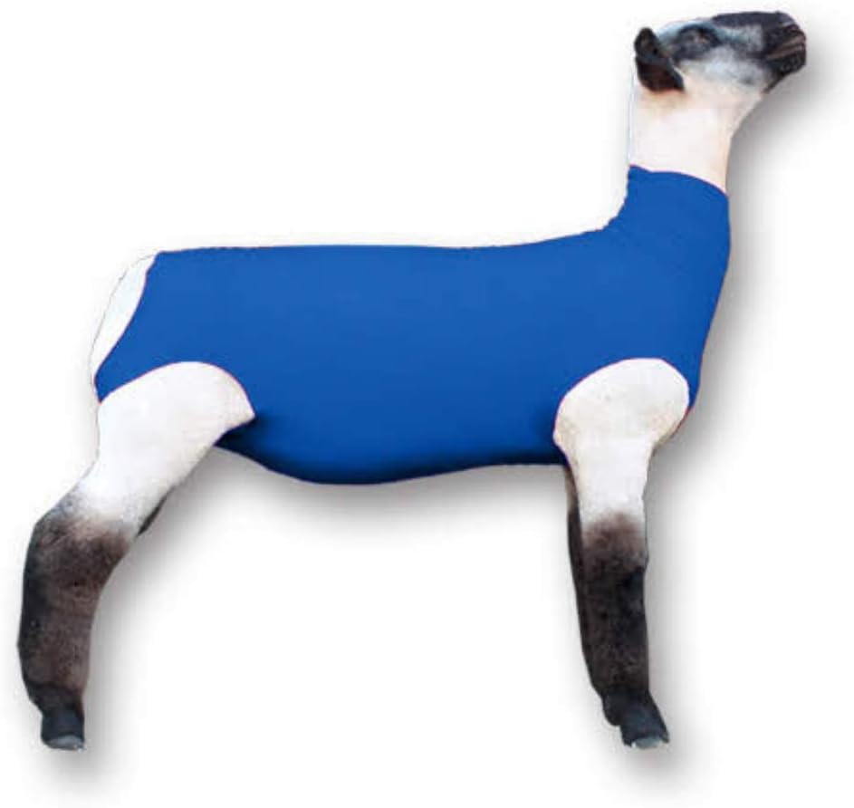 Tubo cordero Spandex azul para mostrar ovejas
