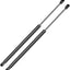 Soporte elevación vidrio escotilla trasera Ford Escape 05-07