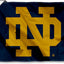 Bandera Irlandesa ND 2x3ft con Logotipo