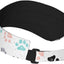 Sombrero visera estampado patas perro ajustable deportivo
