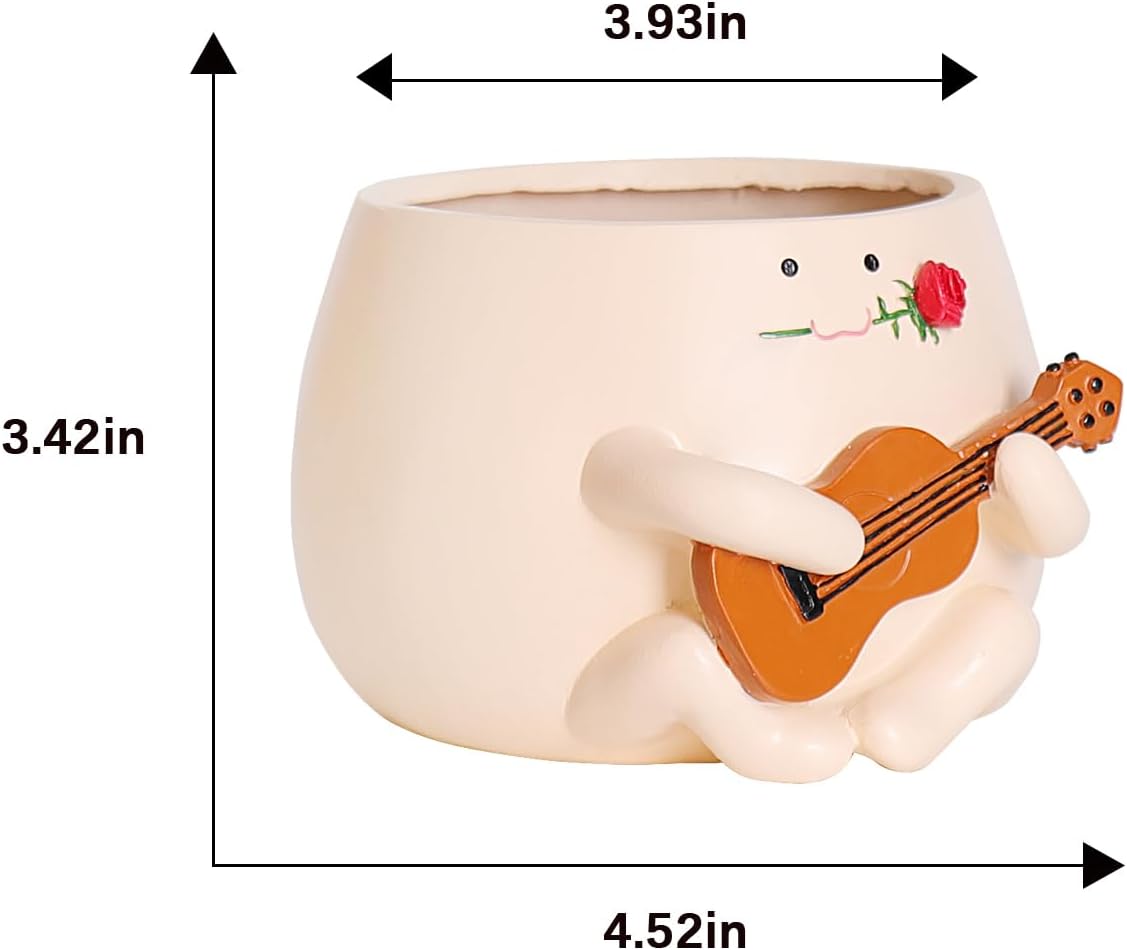 Maceta cara sonriente con flores de rosa para suculentas y regalo