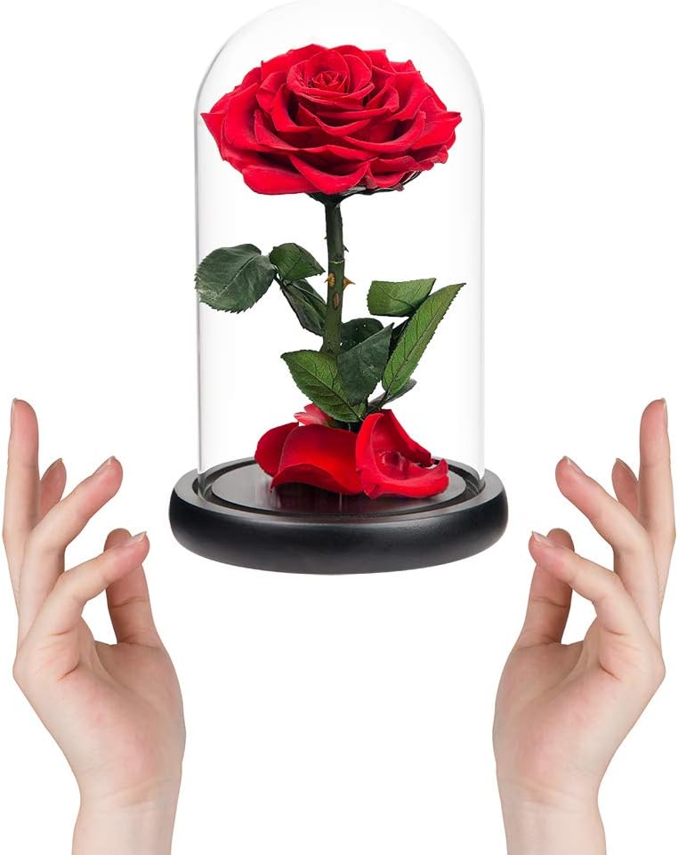 Rosas rojas en cúpula cristal preservadas regalo romántico