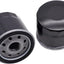 Filtro aceite John Deere GX255 GX325 Kawasaki 2 Pzas