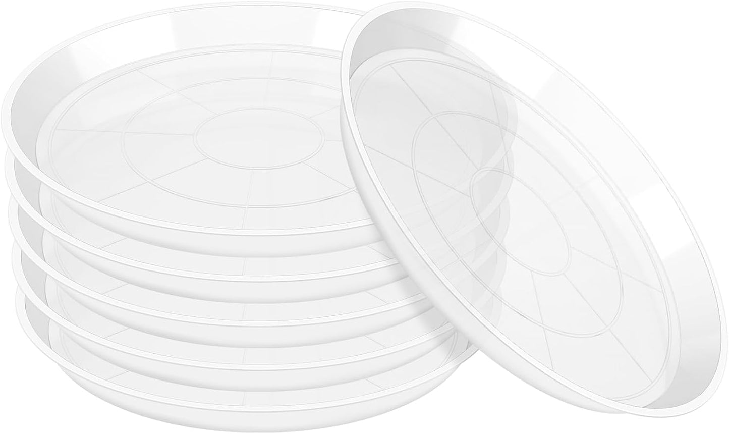 Set 6 platillos plástico transparente para plantas 6-22pulg