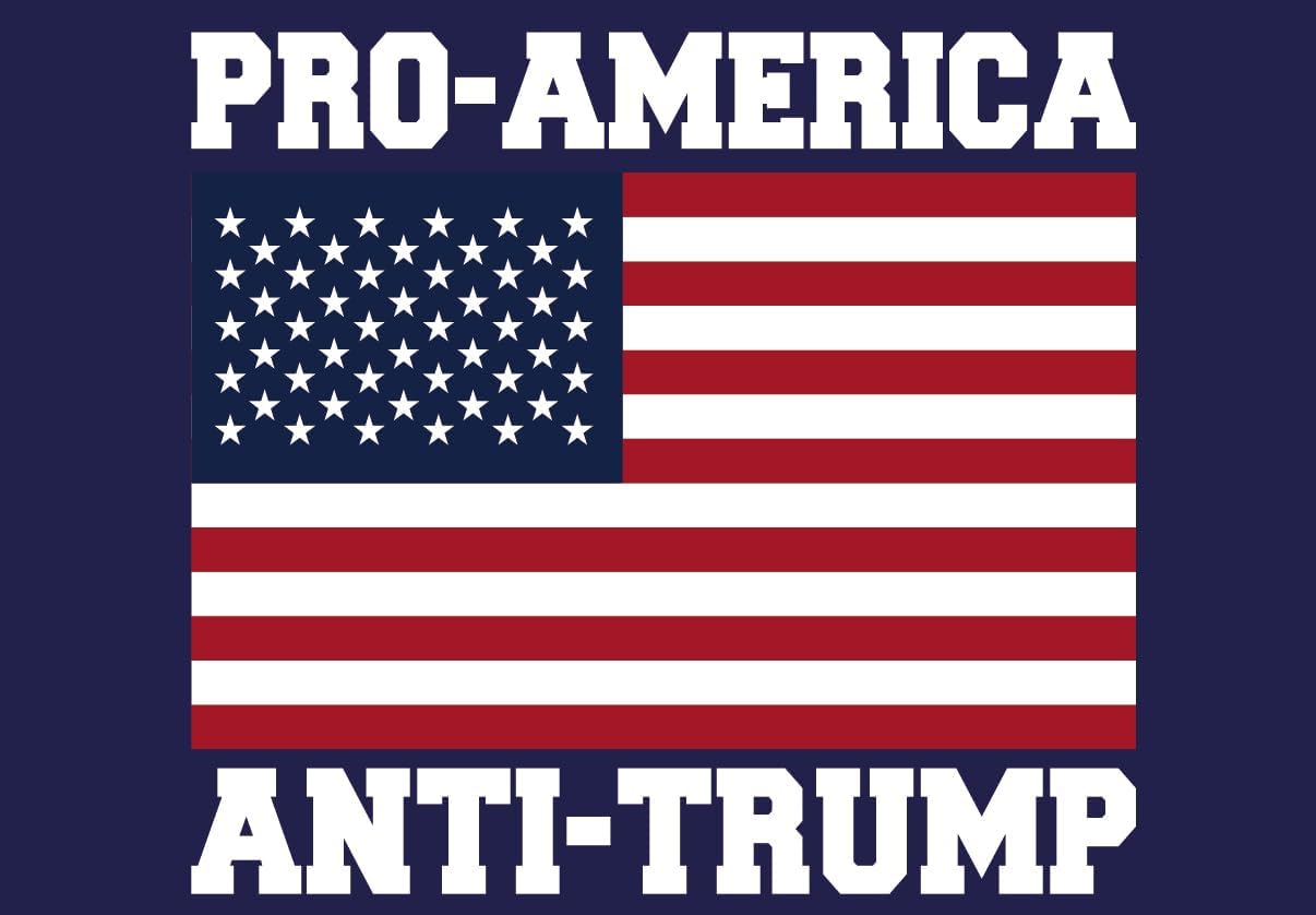 Letrero anti Trump pro Biden patio 12x18"